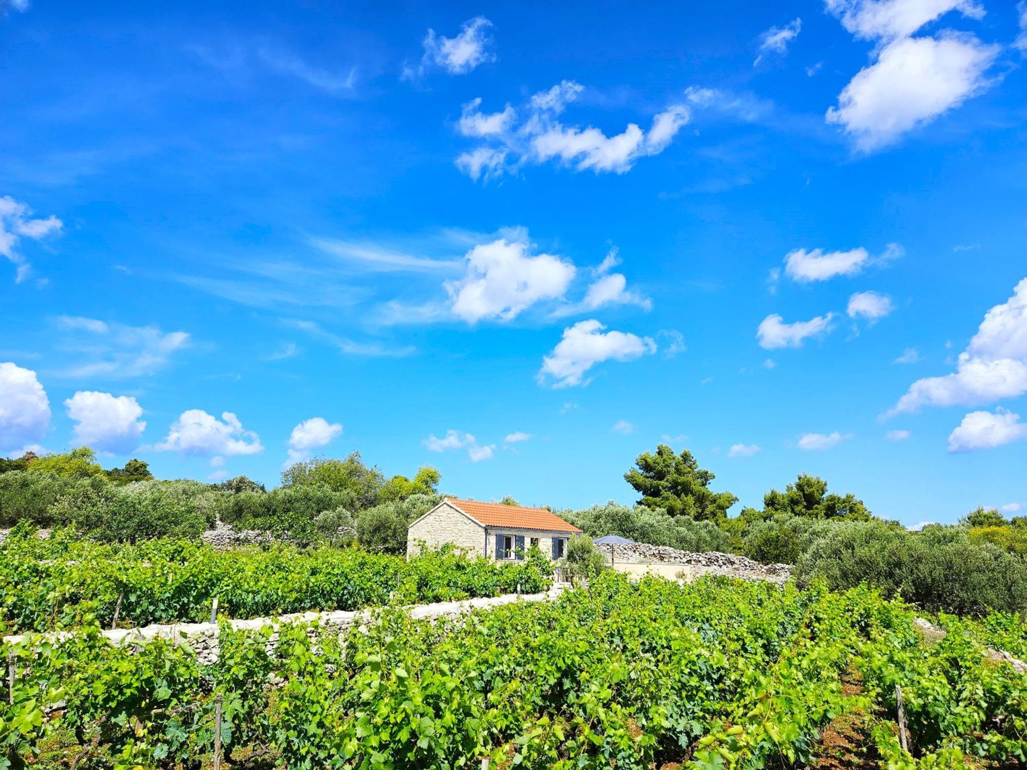 Stone House In Vineyard Villa Racisce Ngoại thất bức ảnh